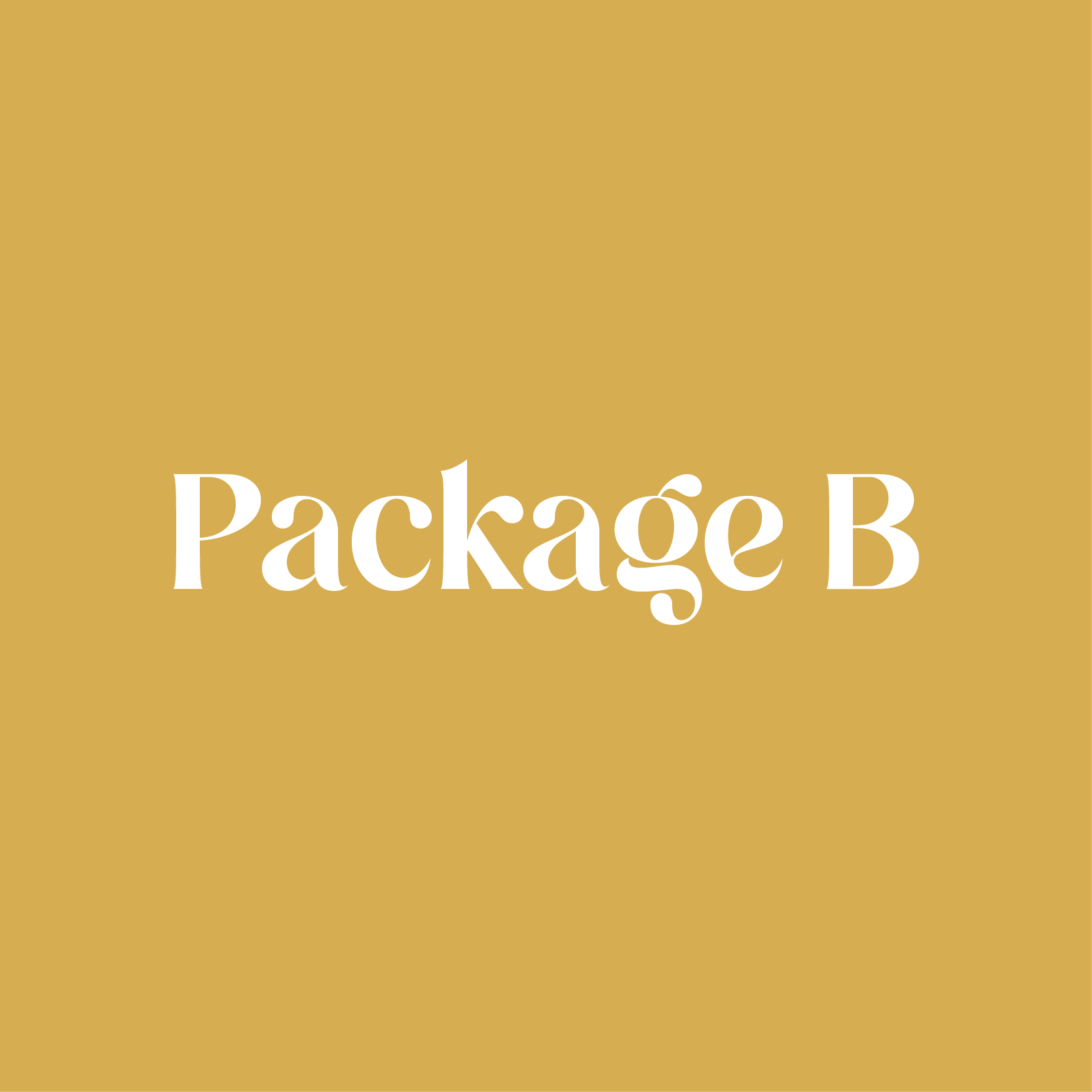 Package B